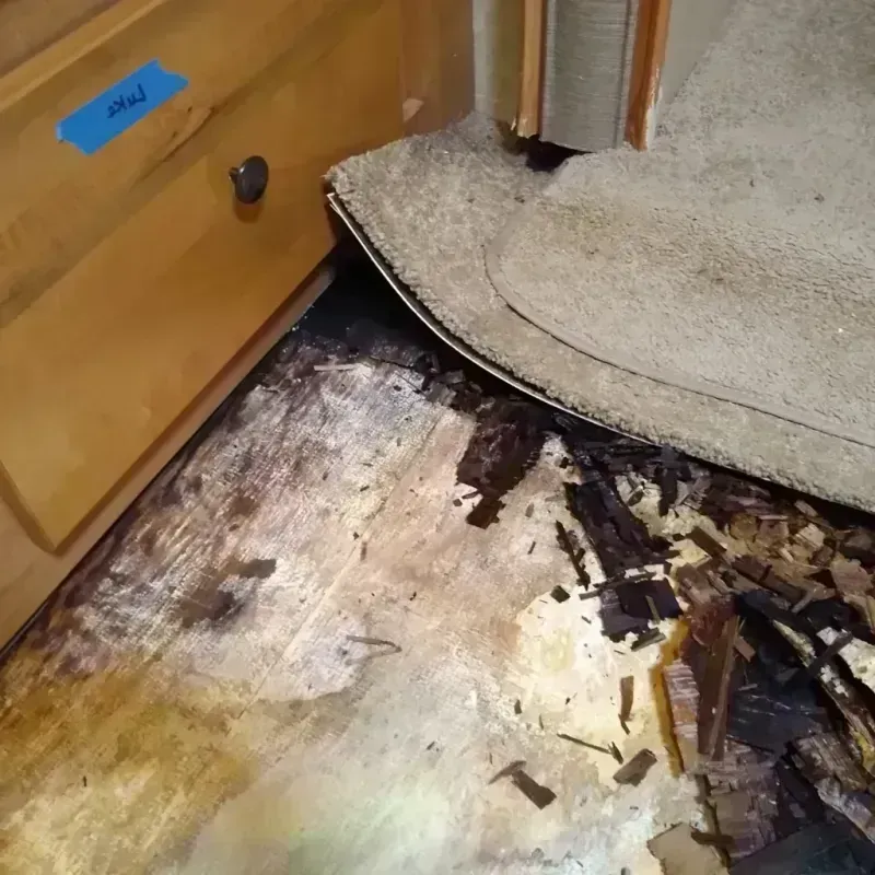 Wood Floor Water Damage in Oceana County, MI